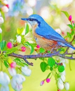 Spring Bird paint by numbers