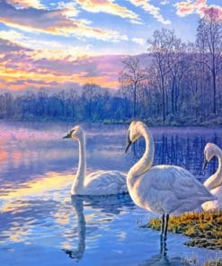 Swans Lake paint by numbers