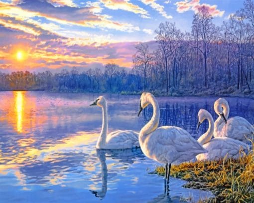 Swans Lake paint by numbers