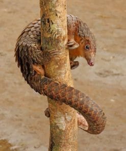 Tree Pangolin Paint by numbers