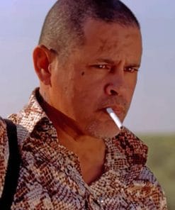 Tuco Salamanca Character Paint by nnumbers