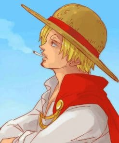 Vinsmoke Sanji paint by numbers