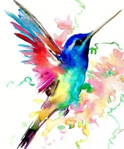 Watercolor Bird Paint by numbers