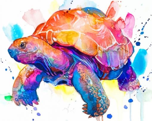 Watercolor Turtle paint by numbers