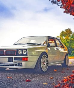 White Car In Autumn paint by numbers