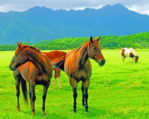 Wild Horses paint by numbers