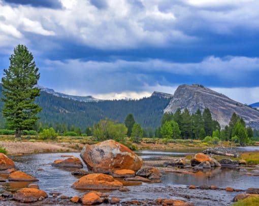 Yosemite National Park In California paint by numbers