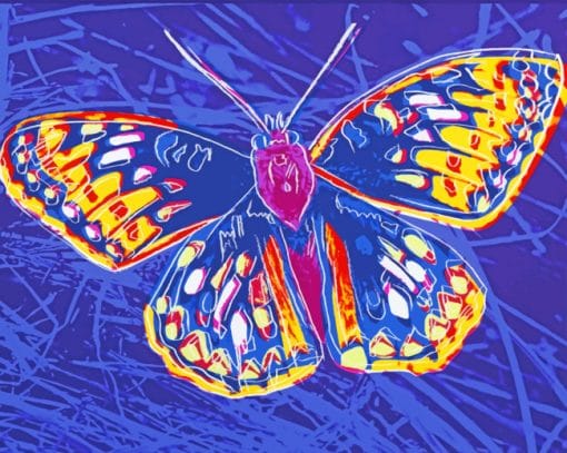 Andy Warhol Butterfly paint by numbers