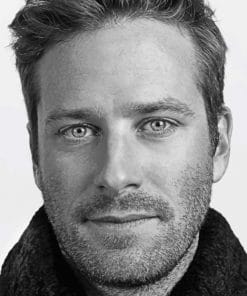 Armie Hammer paint By Numbers