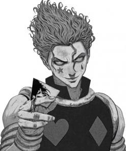 Hisoka paint by numbers