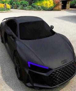 Audi R8 Black paint By Numbers