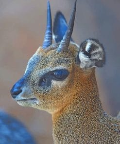 Baby Antelope Paint by numbers