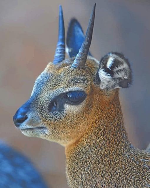 Baby Antelope Paint by numbers