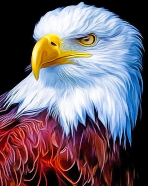 Bald Eagle paint By Numbers