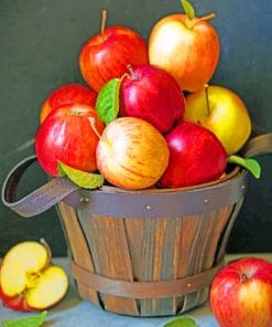 Basket Of Apples paint by numbers