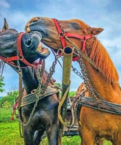 Black And Brown Horse Paint By Numbers