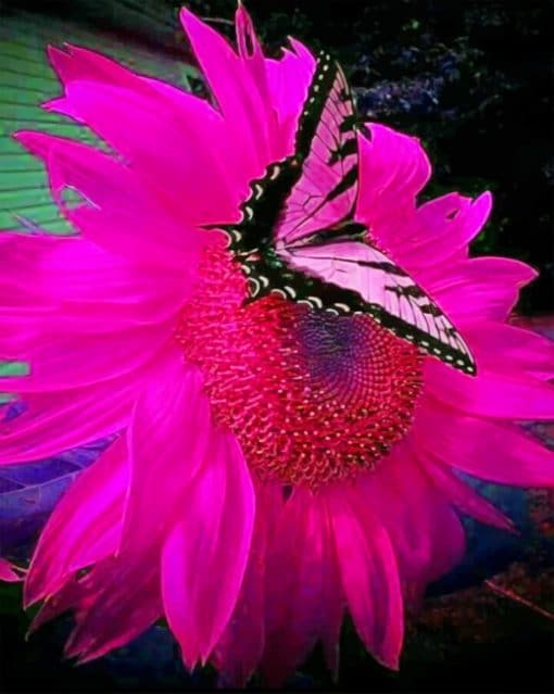 Butterfly On Pink Flower paint By Numbers