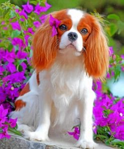 Cavalier King Charles paint By Numbers