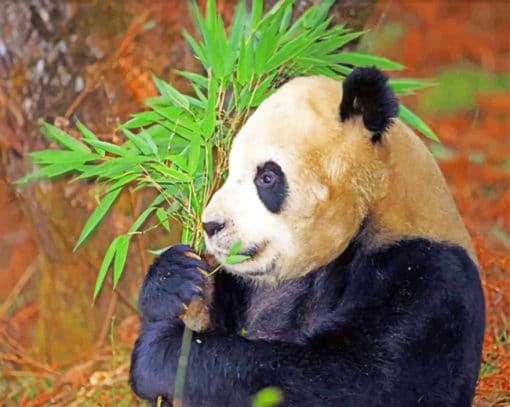 Panda Eating Leaves paint by numbers