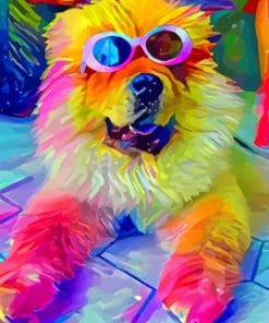 Colorful Dog With Sunglasses paint by numbers