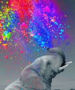 Colorful Elephant paint by numbers