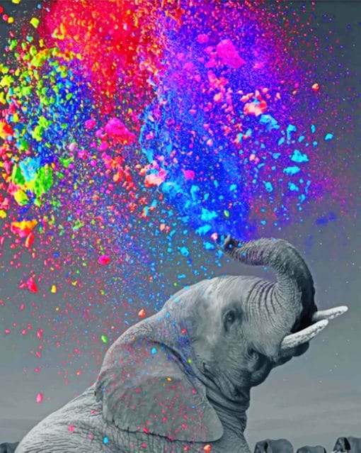 Colorful Elephant paint by numbers