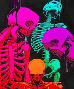 Colorful Skeleton paint by numbers