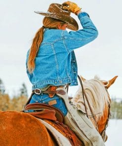 Cowgirl paint by numbers