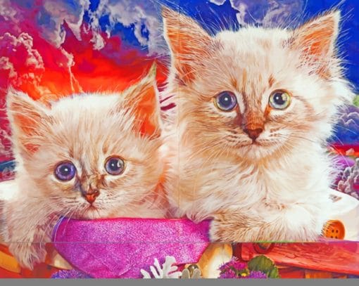 Cute Cats paint By Numbers