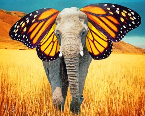 Elephant With Butterfly Ears paint by numbers