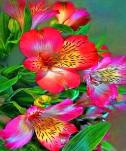 Exotic Colorful Flowers paint By Numbers