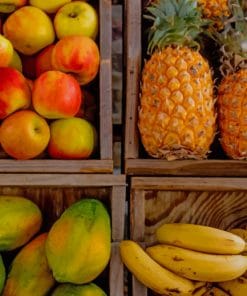 Four Trays Of Fruits paint by numbers