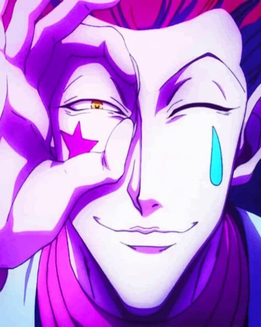 Hisoka paint by numbers