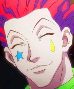 Hisoka paint by numbers