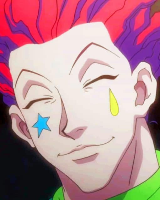 Hisoka paint by numbers