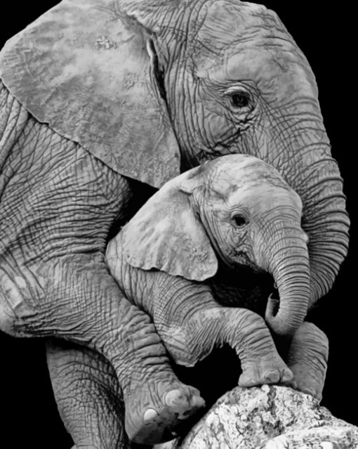 Mom Elephant And Cub paint By Numbers