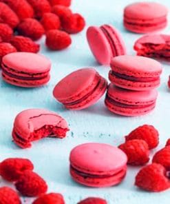 Raspberry Macarons paint by numbers