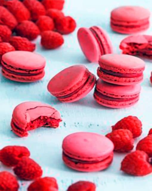 Raspberry Macarons paint by numbers