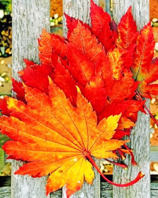 Red Leaves On Wooden Table paint by numbers