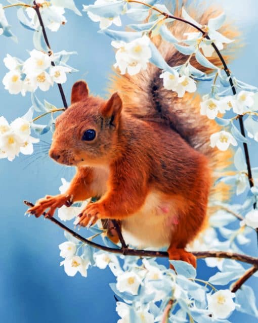 Red squirrel with Flowers paint by numbers