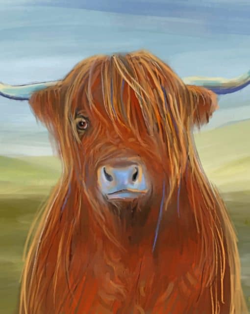 Scottish Highland Cows paint by numbers