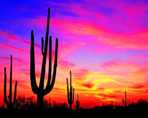 Silhouette Of Cactus paint by numbers