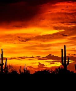 Southwestern Sunset paint by numbers