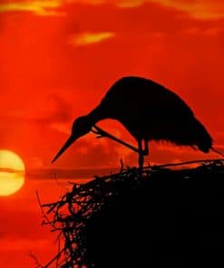 Stork Silhouette paint by numbers