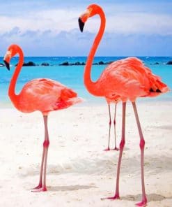 Two Flamingos In Beach paint by numbers