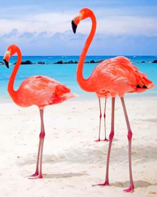 Two Flamingos In Beach paint by numbers