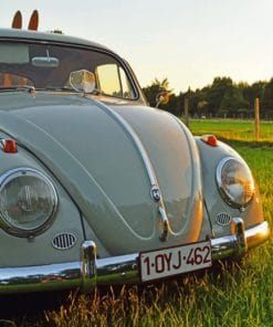 Volkswagen Beetle Car paint by numbers