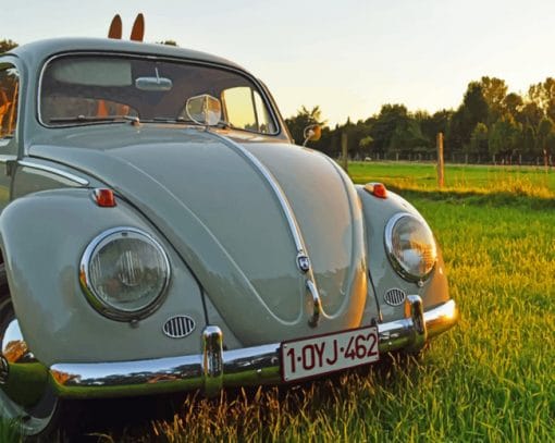 Volkswagen Beetle Car paint by numbers