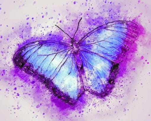 watercolor Purple Butterfly paint by numbers