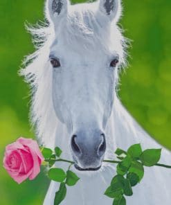 White Horse Holding Pink Flower paint by numbers